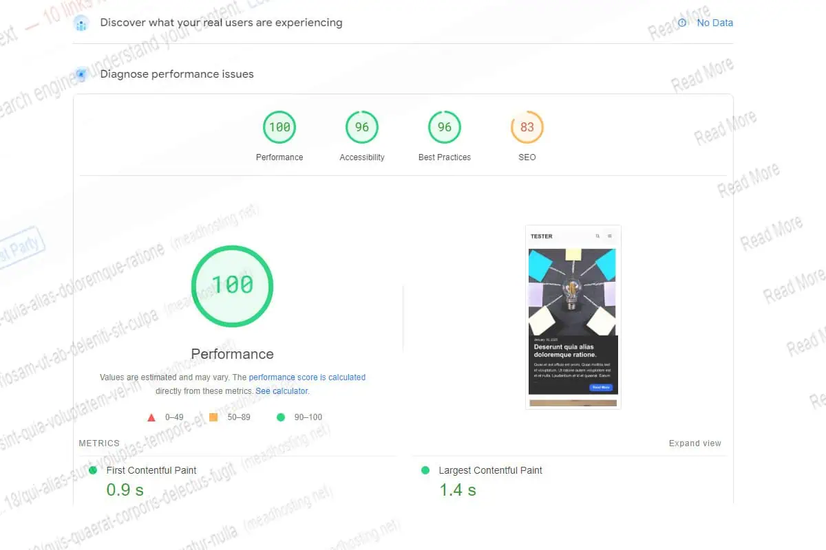 screenshot of pageinsights speed tool